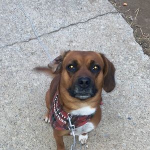 Meet your Posher, Cj